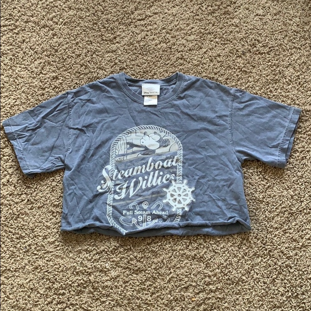 Custom Disney crop top